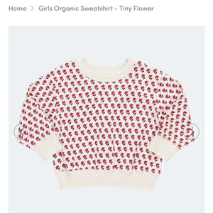 Pink Chicken Floral Sweatshirt Size 4Y